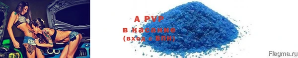 стафф Ладушкин