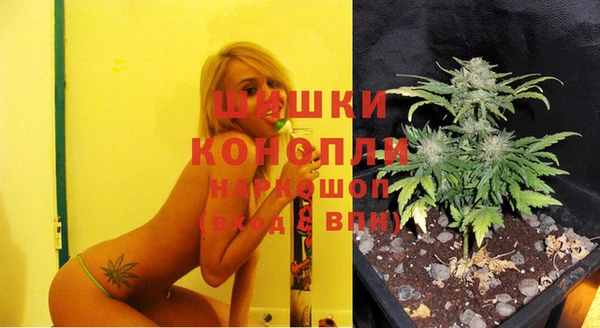 стафф Ладушкин