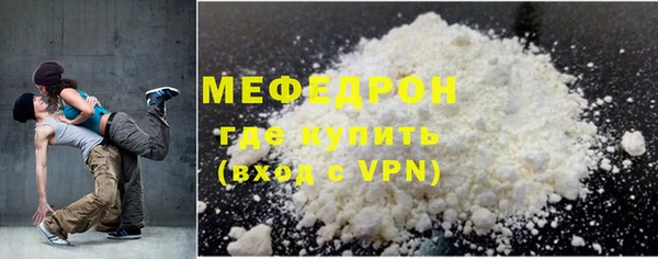 индика Бородино