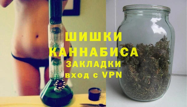 стафф Ладушкин
