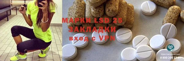 PSILOCYBIN Лагань