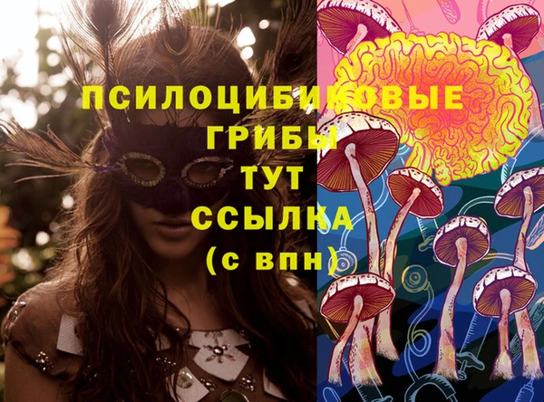 мет Бронницы