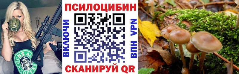 Галлюциногенные грибы мухоморы  это состав  Цивильск 